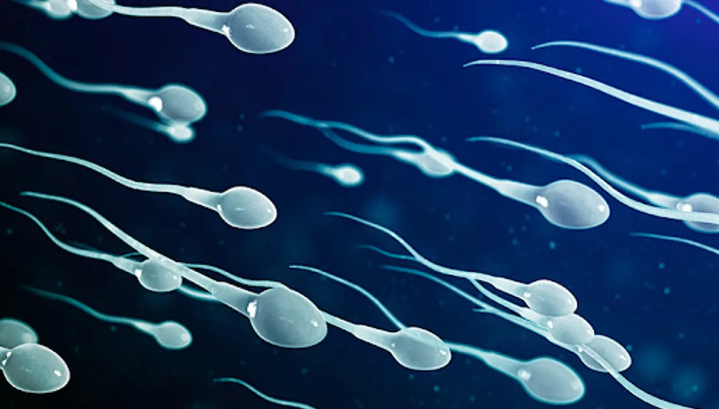 عادات تقتل الحيوانات المنوية فانتبهوا