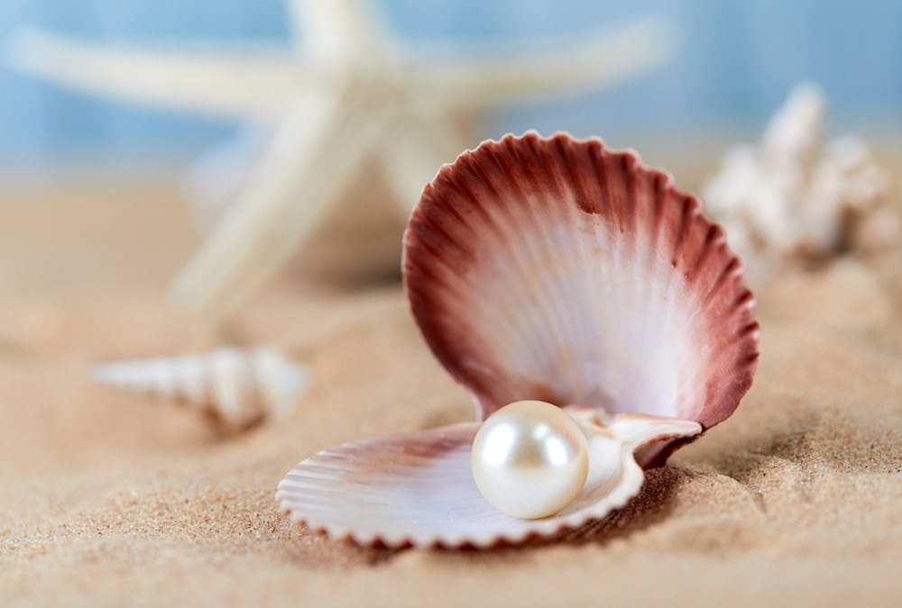 اللؤلؤ يعود بقوة في إطلالة عروس 2025: أناقة وعصرية لا مثيل لها