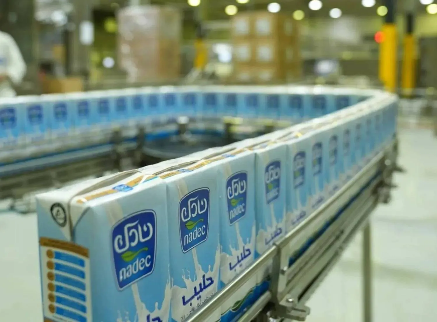 "نادك" ترفع أرباحها الفصلية إلى 115 مليون ريال بدعم من مبيعات الألبان والبروتين