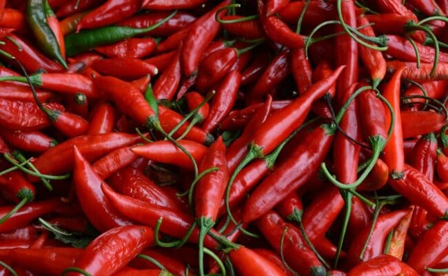 الفلفل الحار: تعزيز صحة القلب وضبط ضغط الدم بطرق طبيعية