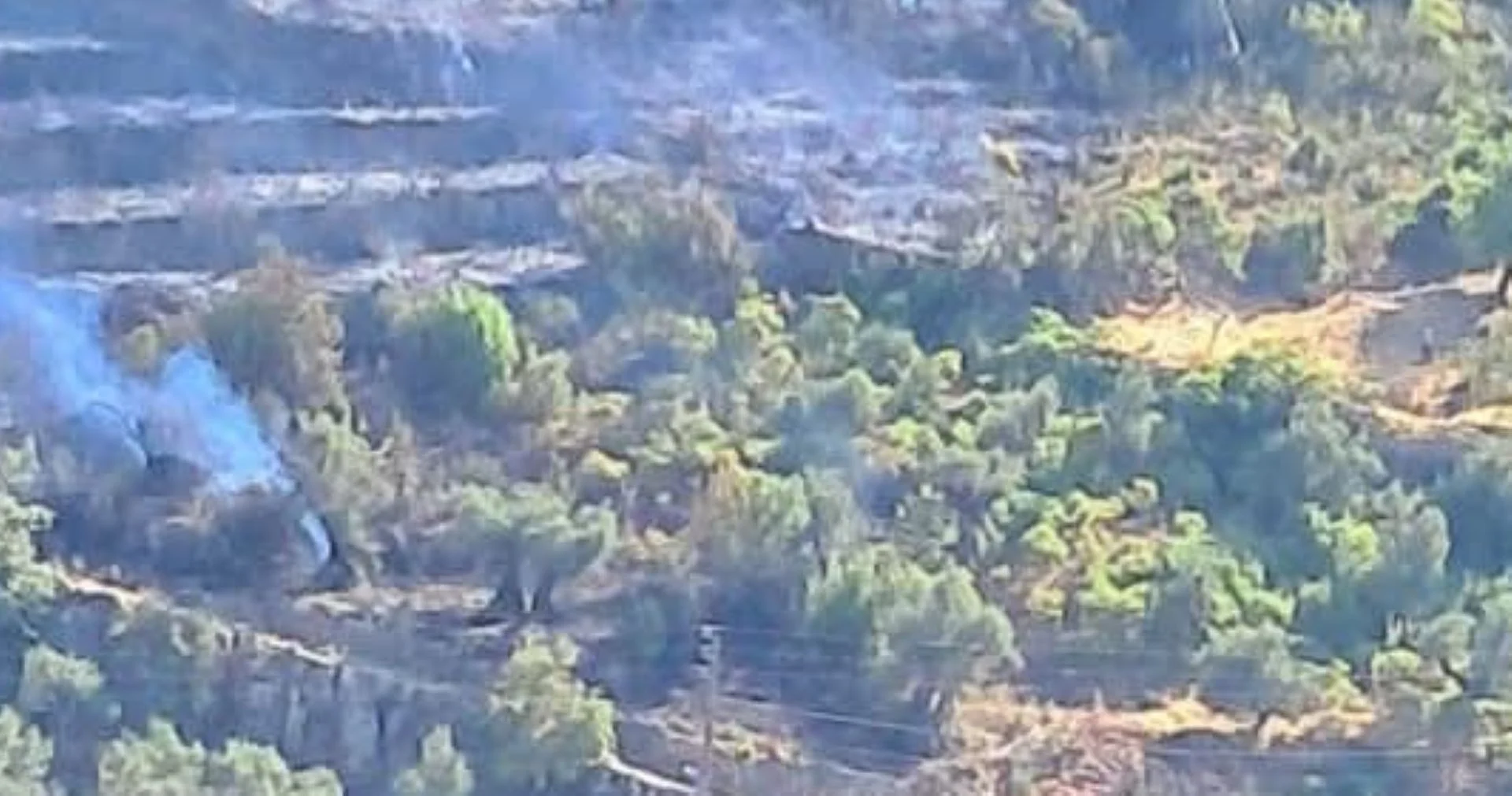 لبنان- حريق كبير في أحراج بشعله البترونية