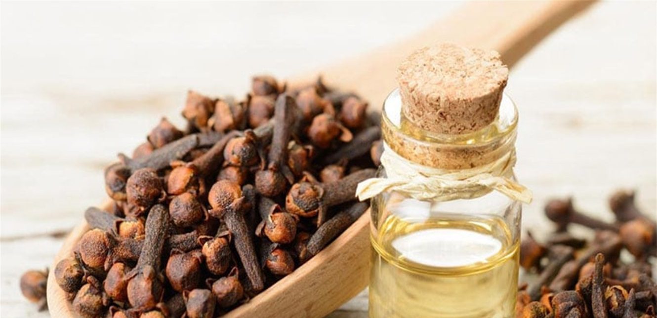 ماء القرنفل: مشروب طبيعي لتحسين الهضم وتعزيز الصحة العامة