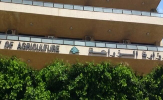 لبنان- مجلس الوزراء يقرّ تعيين 8 مساعدين فنيين زراعيين متمرنين