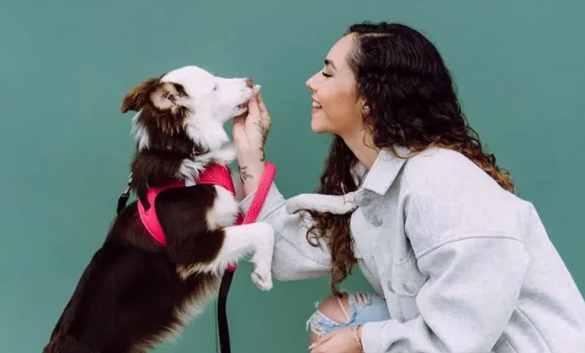 دراسة: ساعة أسبوعيًا مع الكلاب قد تُبطئ الشيخوخة لدى النساء