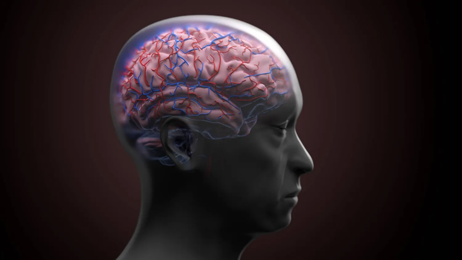 دراسة: تغيّر «هندسة الدماغ» مع التقدّم في العمر قد يكشف مبكرًا عن خطر الخرف