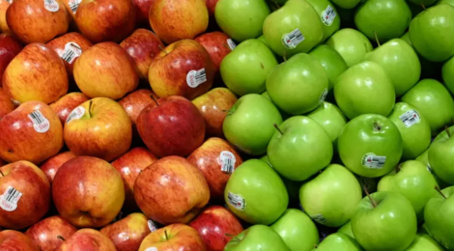 مركب طبيعي من قشور التفاح وأوراق الجوافة قد يُغني عن المضادات الحيوية لعلاج أمراض اللثة