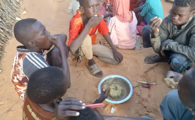 الأمم المتحدة تعلن مجاعة غير مسبوقة في الفاشر وكادوقلي وسط حصار قوات الدعم السريع