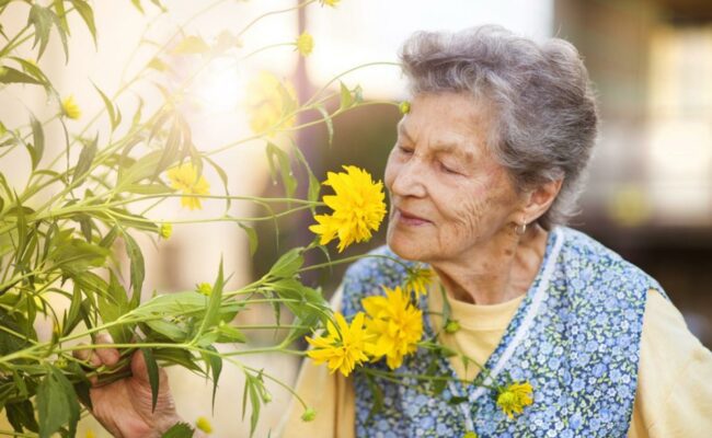 دراسة: ضعف حاسة الشم لدى كبار السن قد يكون مؤشراً مبكراً على أمراض القلب