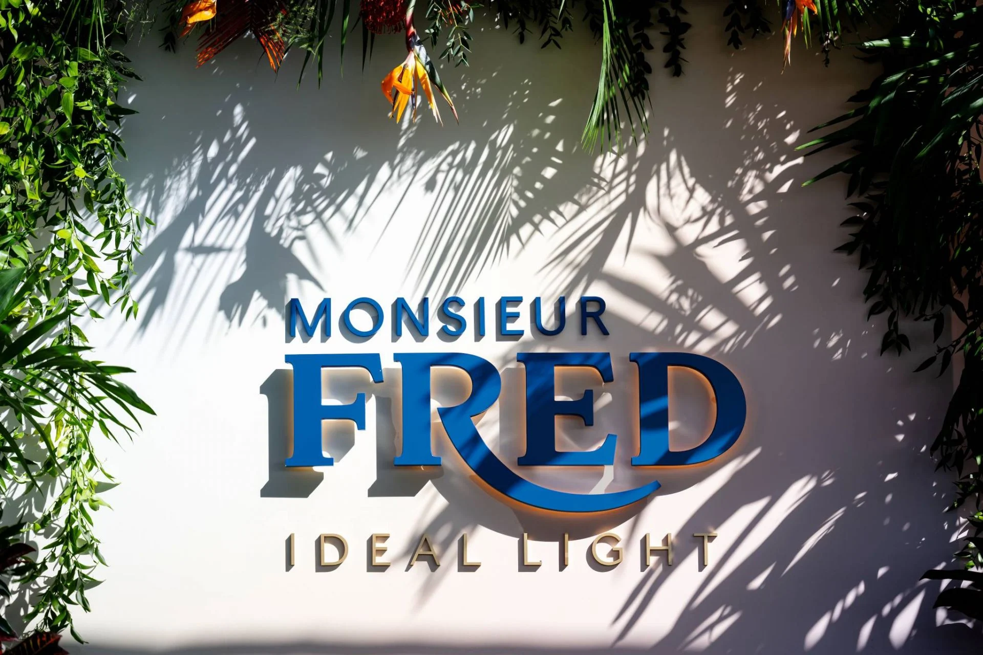 FRED تكشف عن مجموعة "النور المثالي": رحلة الضوء والإبداع