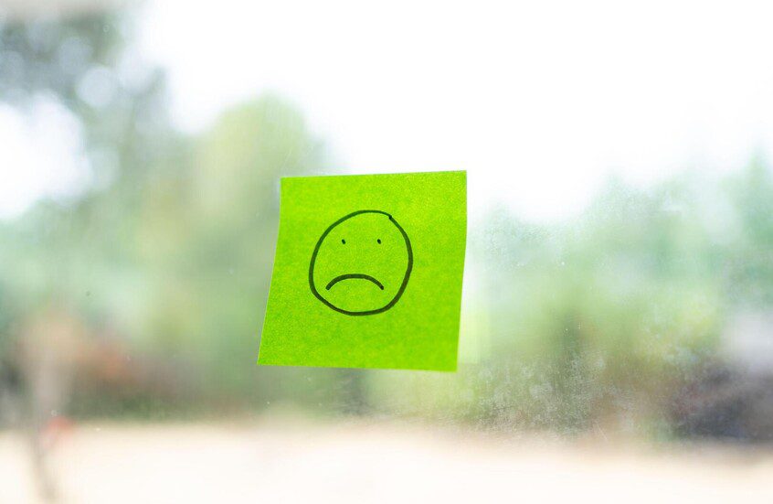 دراسة صينية: الاستماع إلى تغريد الطيور يخفف الحزن والاكتئاب