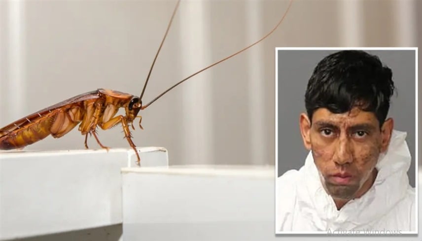 رسالة «من صرصور» تقود شاباً في نيو مكسيكو لارتكاب جريمة قتل مزدوجة