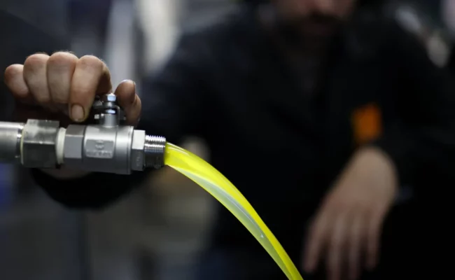 زيت الزيتون أم زيت جوز الهند: أيهما الأفضل لصحة القلب؟