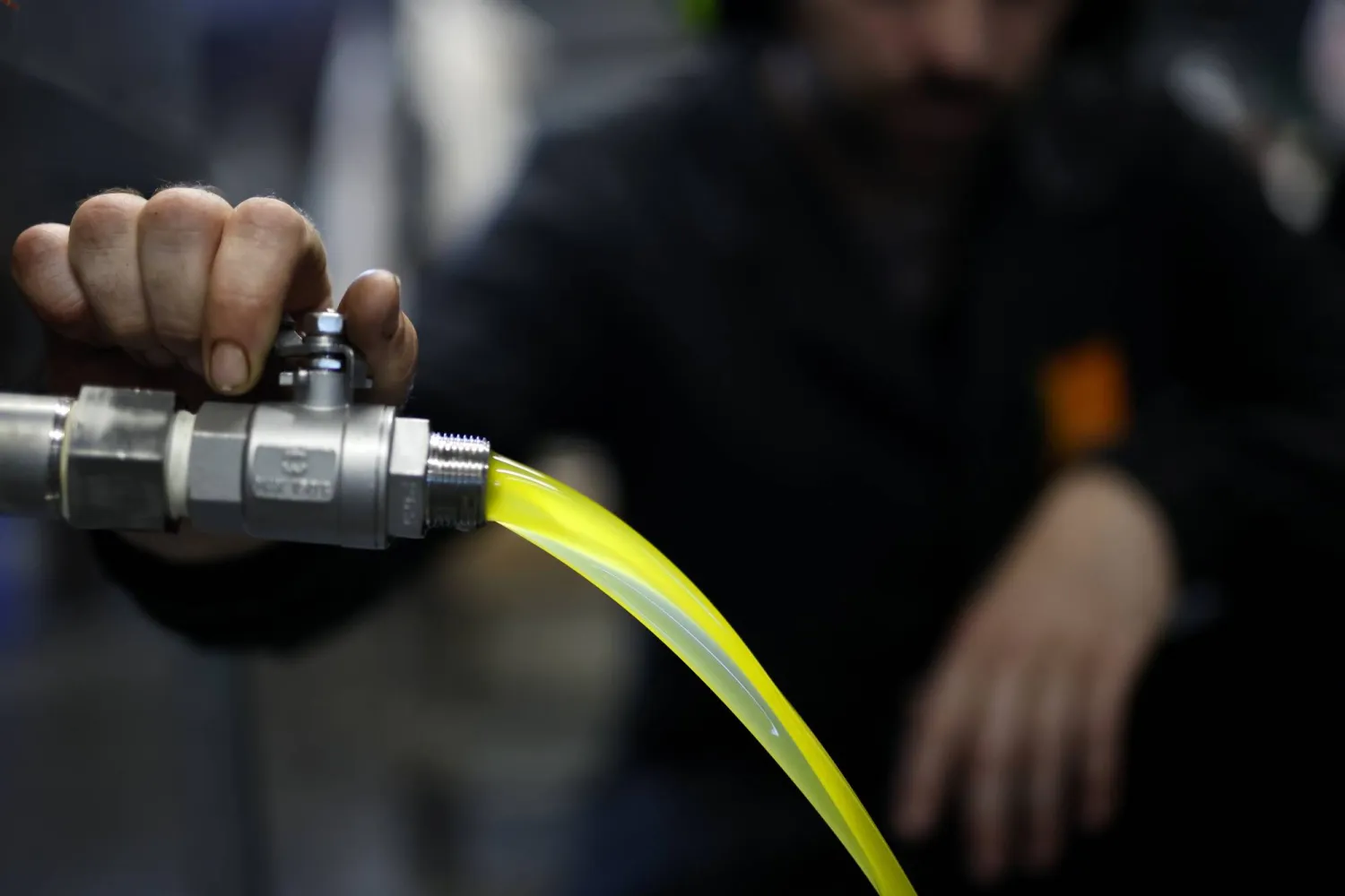 زيت الزيتون أم زيت جوز الهند: أيهما الأفضل لصحة القلب؟