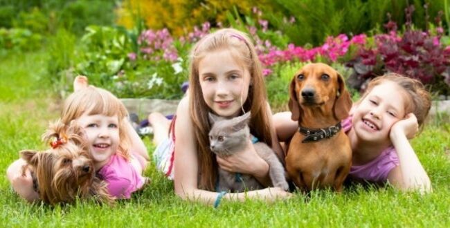 اكتشاف بكتيريا جديدة قد تنتقل من الحيوانات الأليفة إلى البشر وتسبب عدوى خطيرة