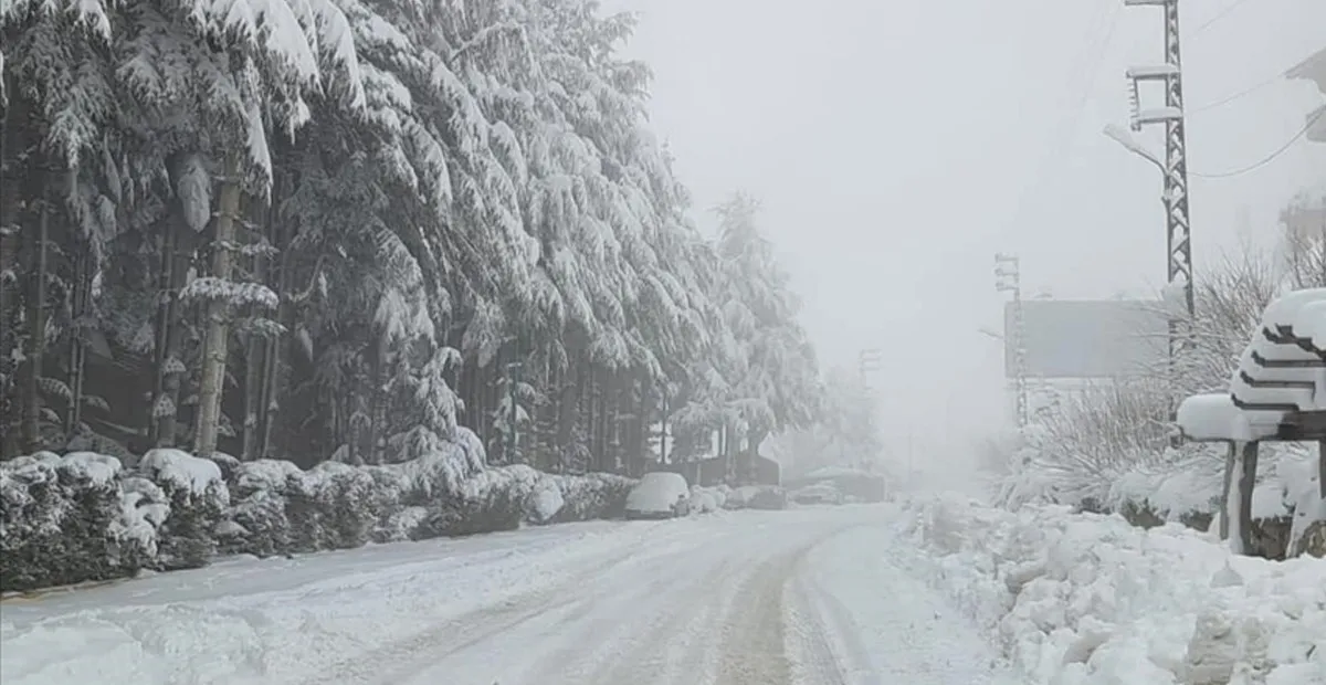 لبنان- طقس بارد ورياح ناشطة… تحذير من الجليد وصقيع يهدد المزروعات
