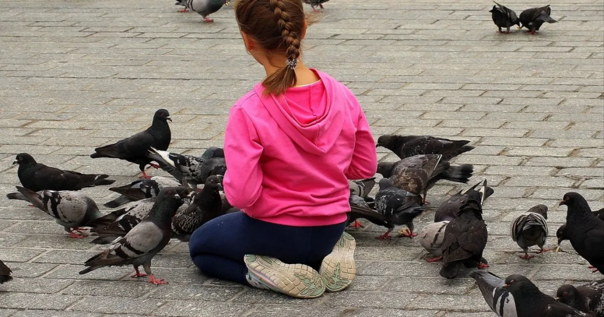 كيف غيّرت جائحة كورونا مناقير طيور المدن؟