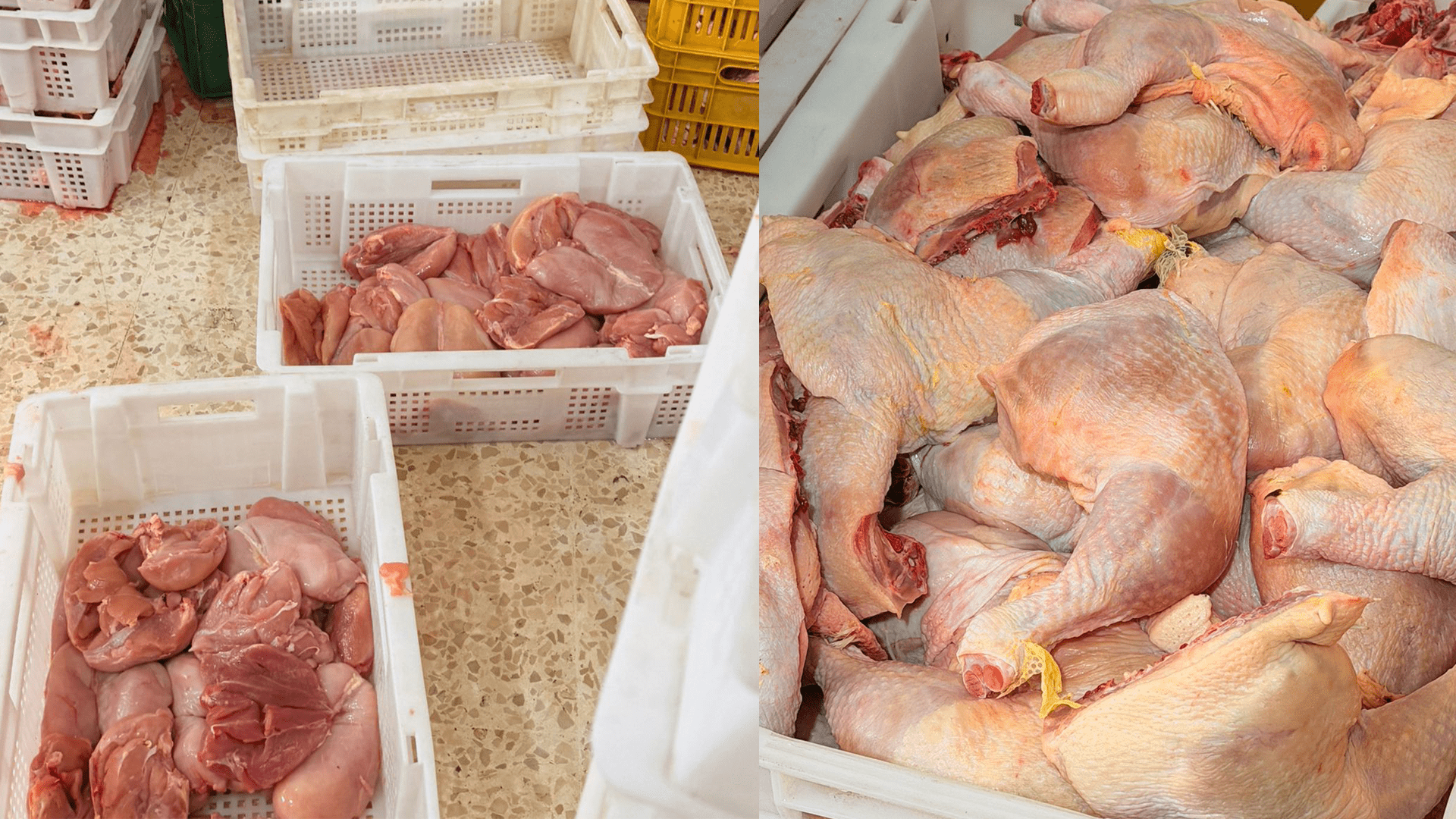 لبنان- ضبط مستودعَي دجاج مخالفَين لشروط السّلامة الغذائيّة في سعدنايل
