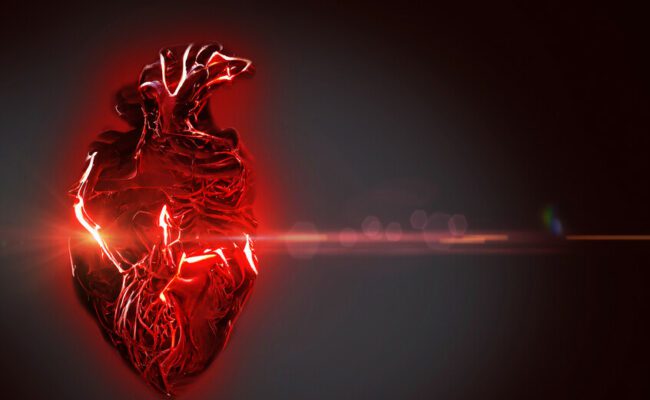 دراسة: الأشخاص المسائيون أكثر عرضة لمشاكل القلب خاصة النساء