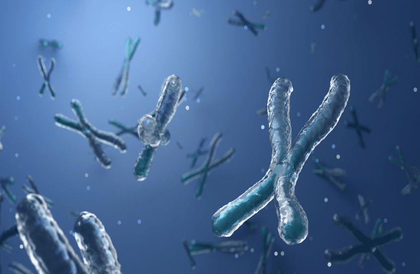 انسَ الغذاء والرياضة… الجينات تكشف العامل الأهم في طول العمر