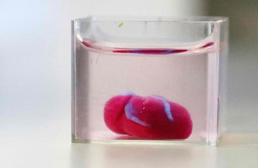 بريطانيا تنجح في إنماء أول معدة بشرية مصغّرة كاملة داخل المختبر