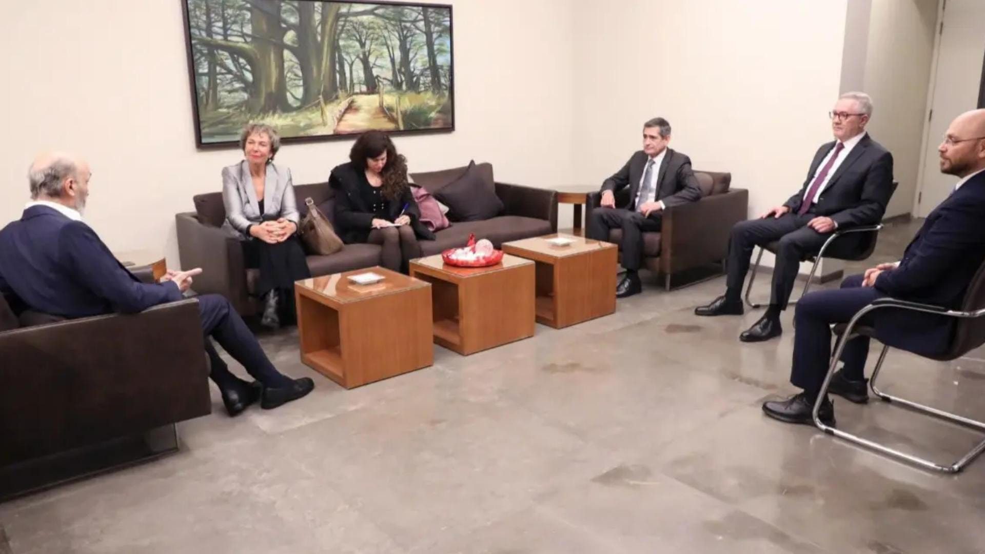 لبنان- جعجع عرض مع السفيرة السويسرية للمستجدات