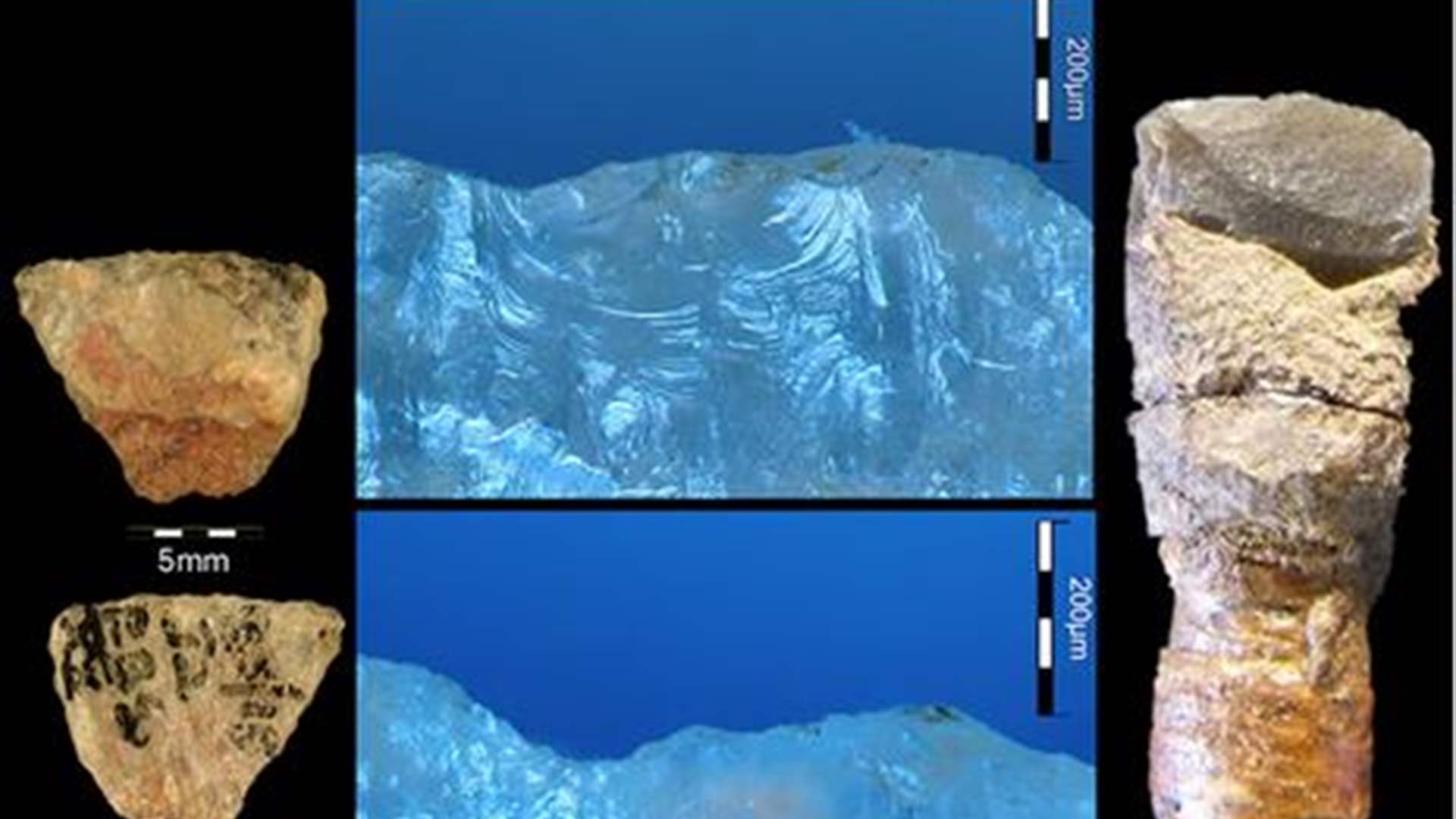 عمرها 60 ألف عام.. اكتشاف أقدم سهام سامة لصيد الحيوانات