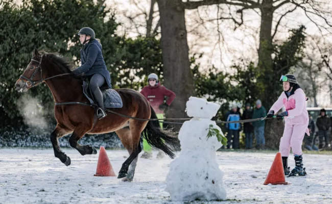 ركوب الخيل… متعة الروح وفوائد صحية تمتد إلى إدارة مرض السكري