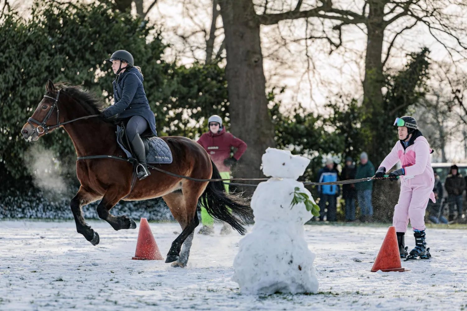 ركوب الخيل… متعة الروح وفوائد صحية تمتد إلى إدارة مرض السكري