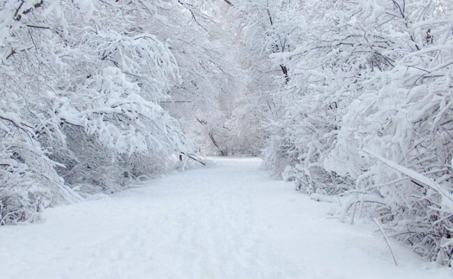 لبنان- ثلوج كثيفة تضرب الشوف… انقطاع كهرباء وطرق مغلقة وأضرار بالمزروعات