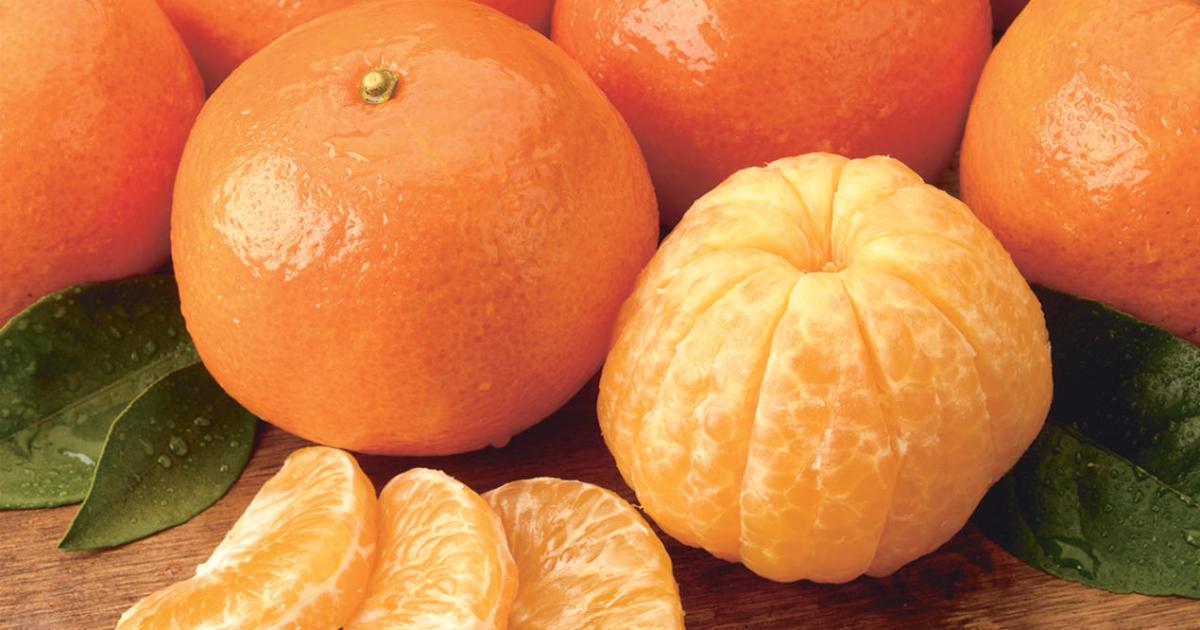 الكلمنتينا: طعم لذيذ وفوائد صحية متعددة خلال الشتاء