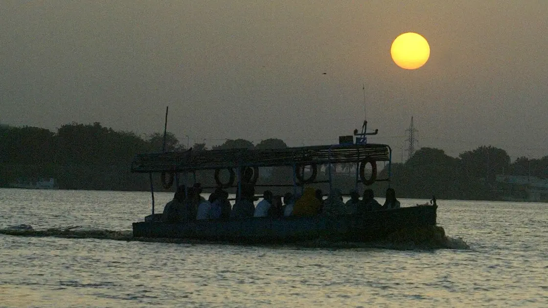 مئات الفئران النافقة تغزو ضفاف نهر عطبرة بشرق السودان… والسكان يعيشون رعبًا