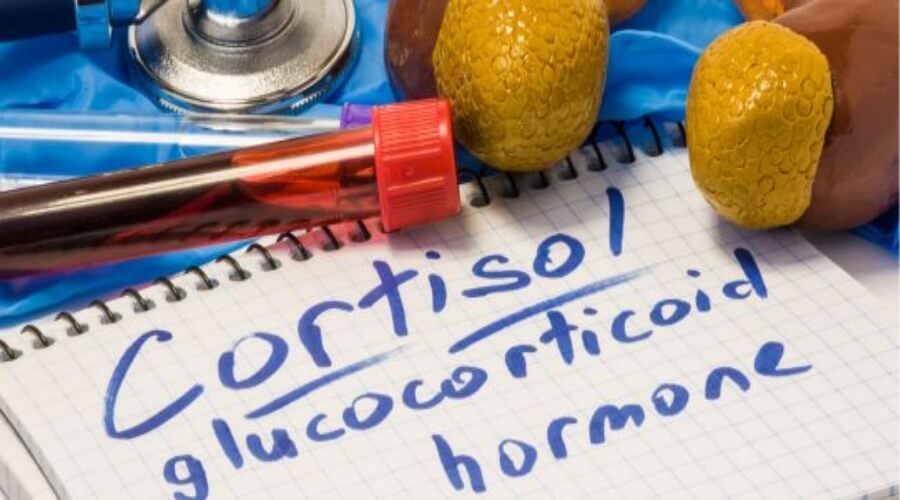 «هرمون التوتر» يتصدر الترند… أطباء يحذّرون من فوبيا ونصائح المؤثرين