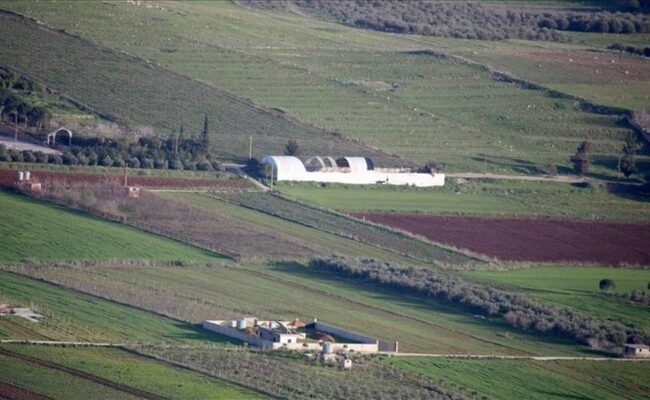 لبنان-اعتداء بيئي جديد: مبيدات كيميائية تُرش جواً فوق أراضٍ زراعية