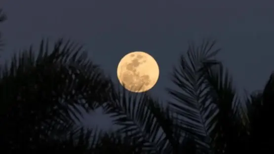 ناسا تخطط لقاعدة دائمة على القمر باستثمارات ضخمة خلال 7 سنوات