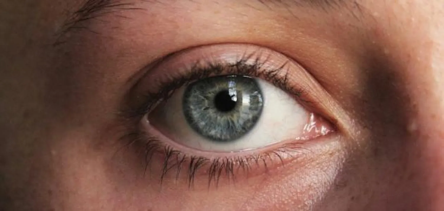 اكتشاف جديد: عيون الفقاريات تطوّرت من أنسجة دماغية لا من الجلد