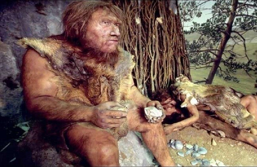 دراسة تنفي وجود «جينات نياندرتال السامة» وتفسّر ندرتها على كروموسوم X ب