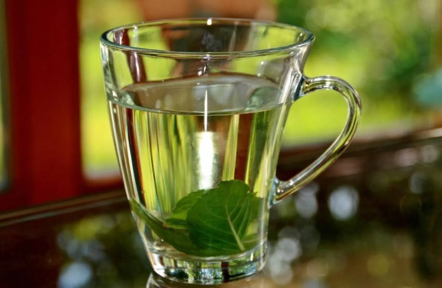 من أبرز فوائد شاي النعناع أنه يدعم عملية الهضم (