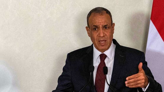 وزير الخارجية المصري بدر عبدالعاطي