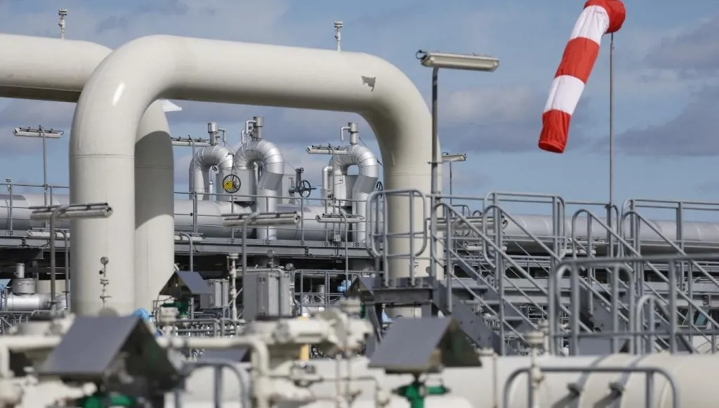 MNSHALSTLMLGZLTBYAYMNKHTNWRDSTRYM1FYALMNY.AFB_172645_large