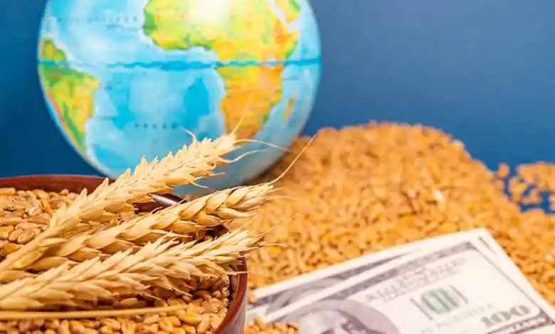 حرب إيران تهدد الأمن الغذائي العالمي: صدمة الطاقة تمتد إلى الغذاء ومخاطر مجاعة تتصاعد