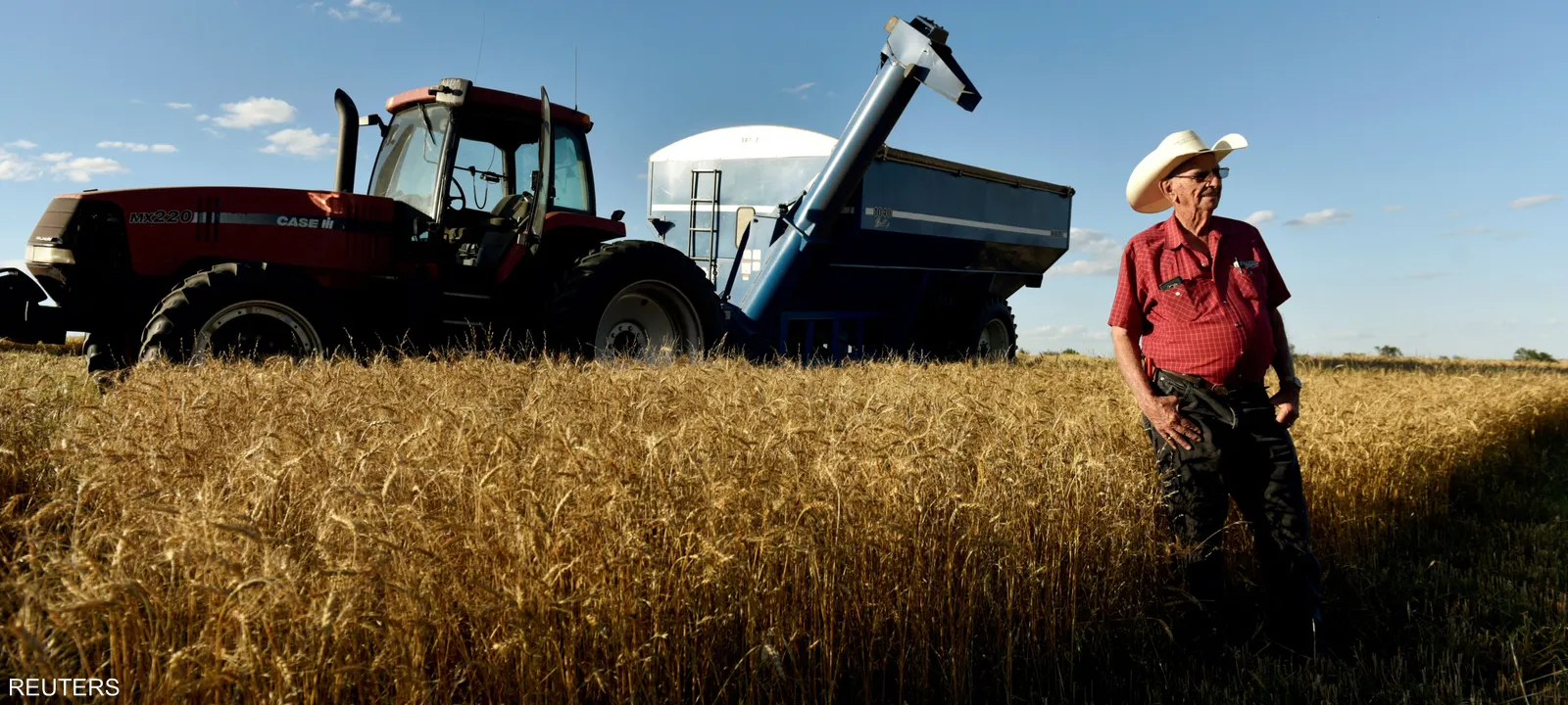 القمح الأميركي