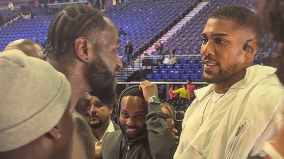 حضوره نزال وايلدر وتشيزورا